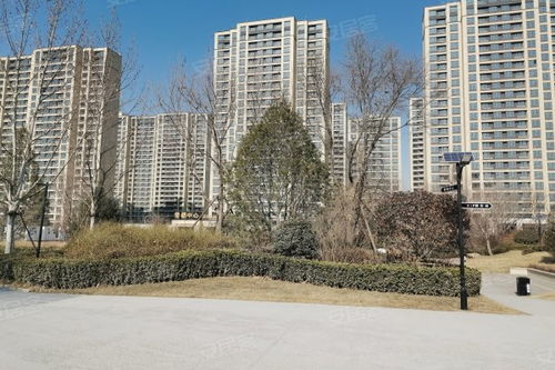 中新國際城綜合評測 優點、不足、周邊中介及物業管理分析