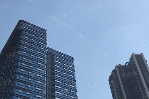 金地壹粵府綜合評(píng)析 優(yōu)勢(shì)、不足與市場(chǎng)口碑